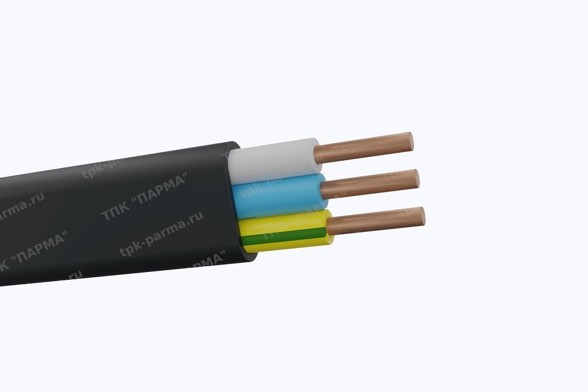 Фотография провода Кабель ВВГнг-LS-П 2х4